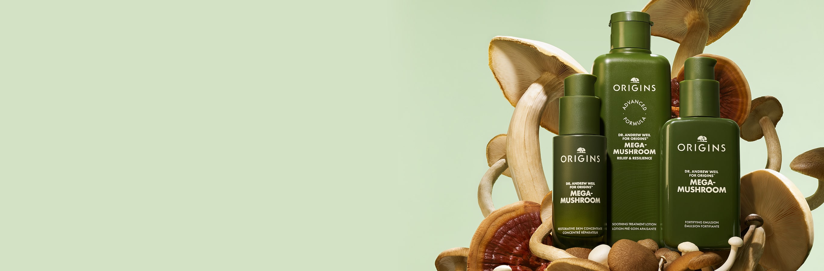 NOUVELLE lotion traitante Mega-Mushroom