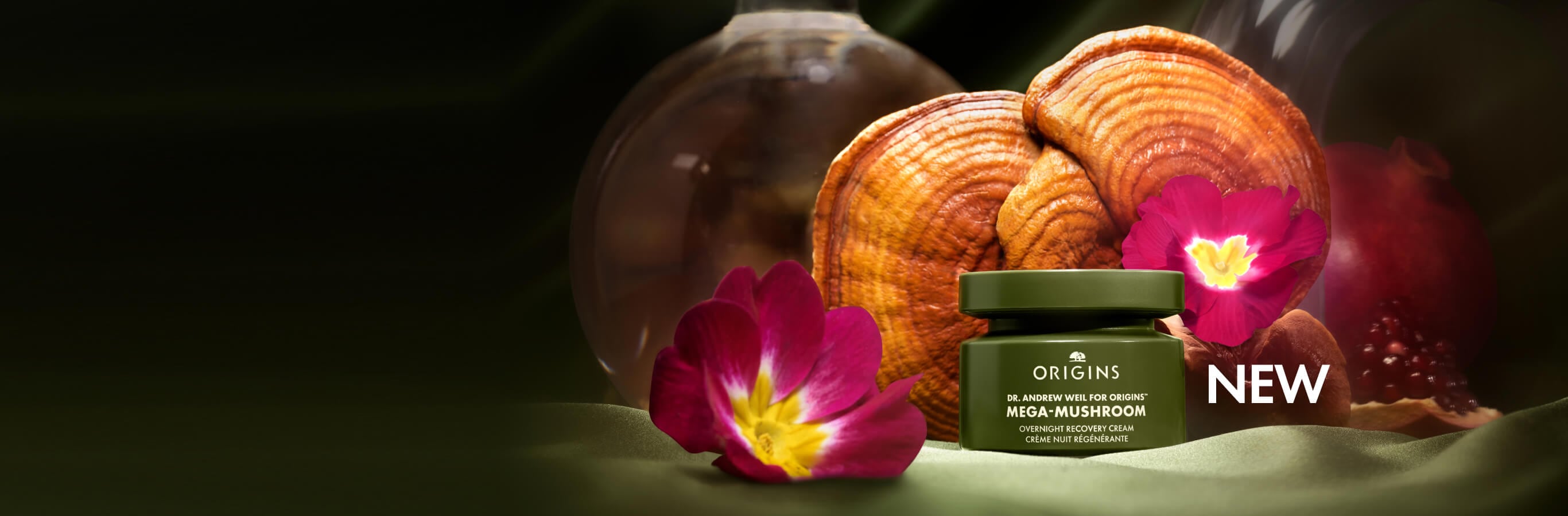 Dr. Andrew Weil pour Origins Mega-Mushroom