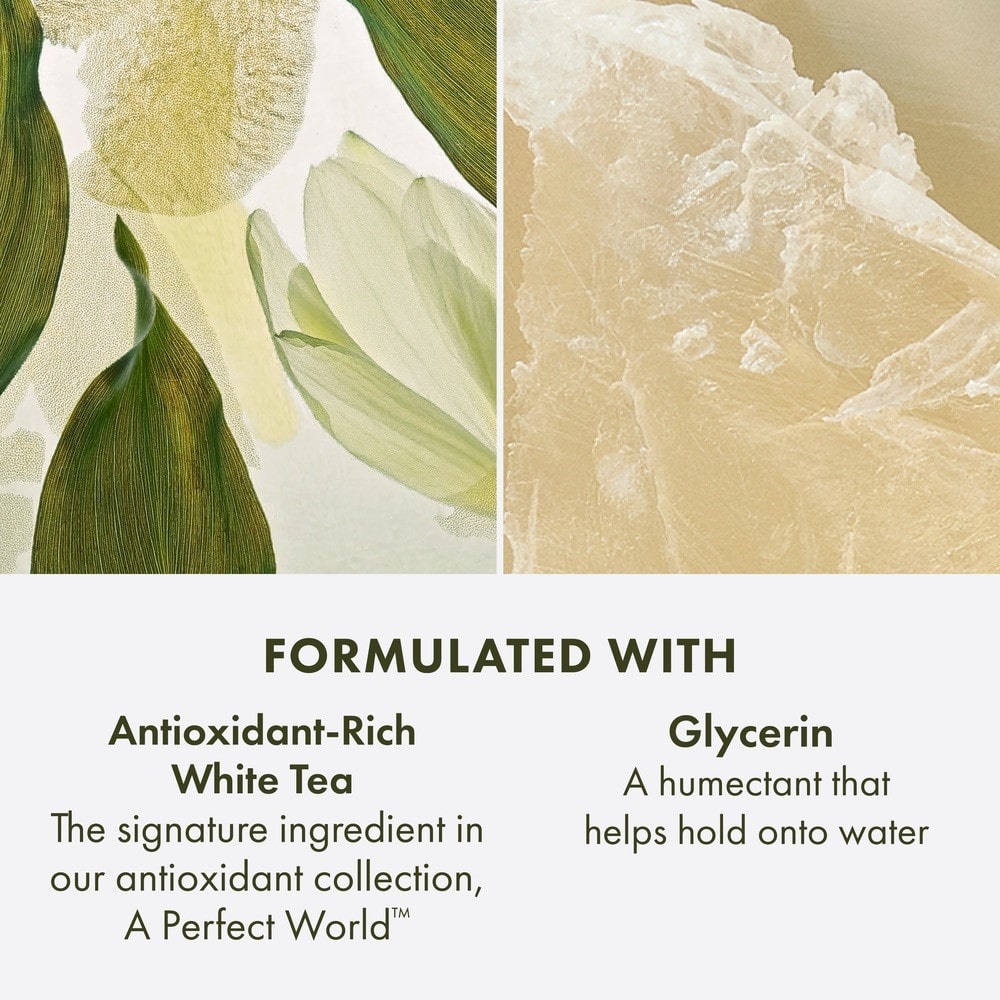 Nettoyant antioxydant avec thé blanc A Perfect World™, 150 ml