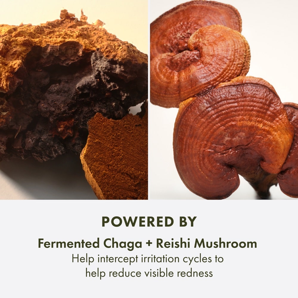 Sérum concentré protecteur de la barrière cutanée Mega-Mushroom Dr. Andrew Weil for Origins™, 30 ml